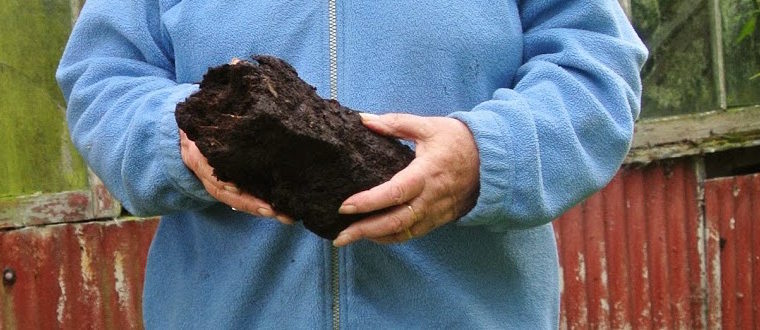 For Peat’s Sake…