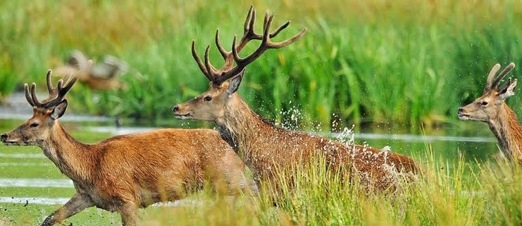 One Jacket, Two Great Photos