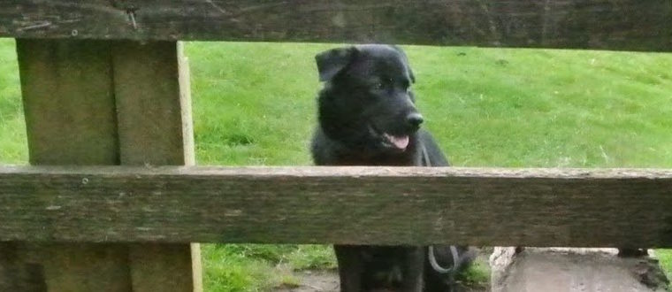 Where’s Midge? The Roll-over